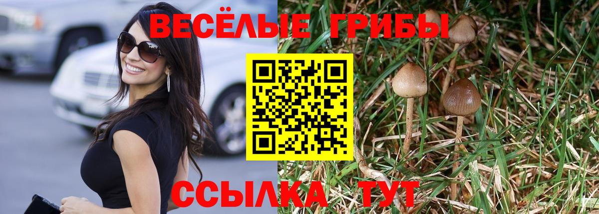 Черкесск  Галлюциногенные грибы MAGIC MUSHROOMS  Псилоцибиновые грибы Magic Shrooms  Вход с VPN 